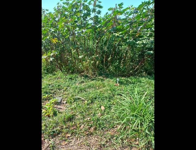 LAND FOR SALE IN SAICCOR
